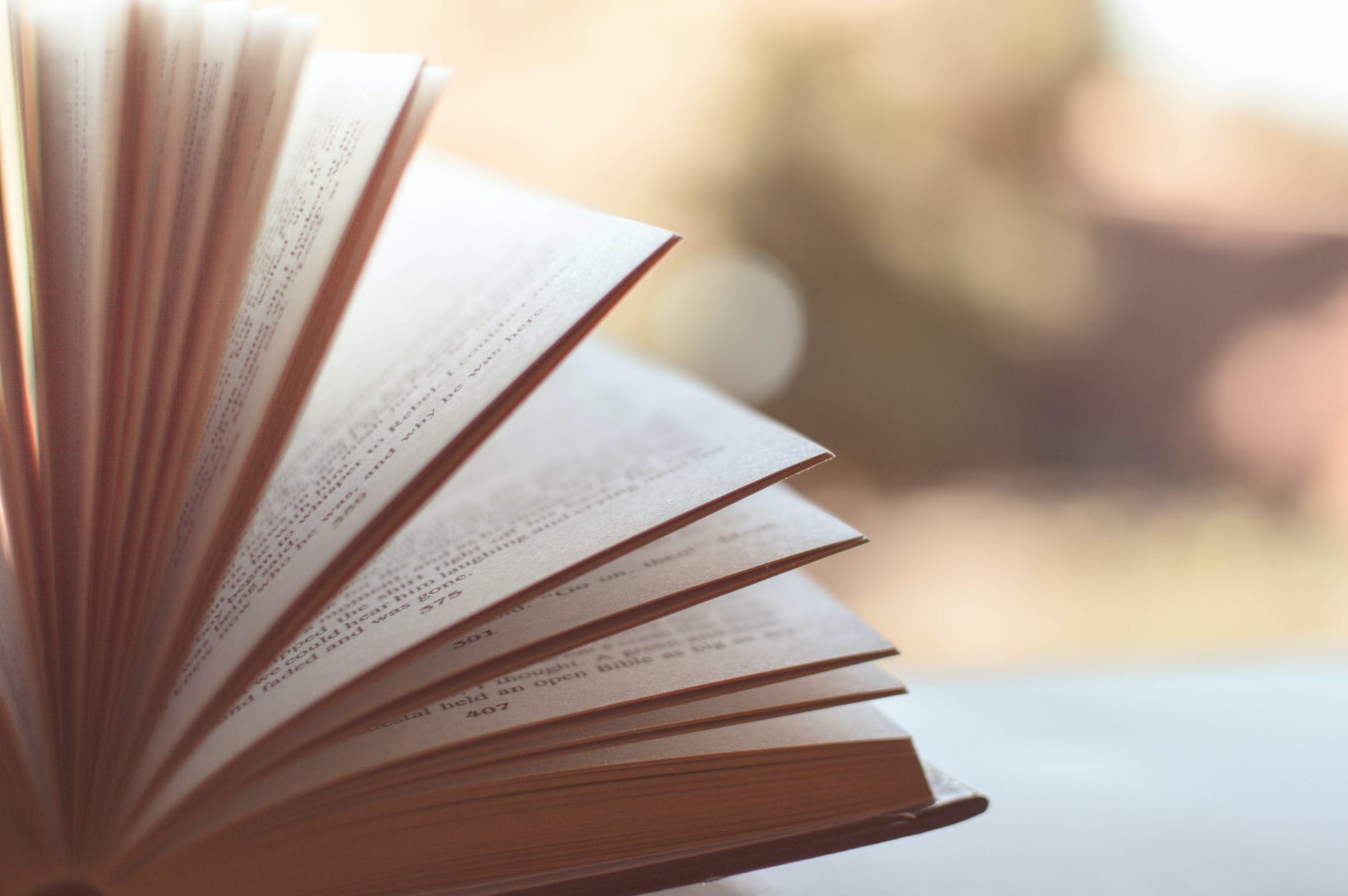 100 ways to improve your writing by Gary Provost